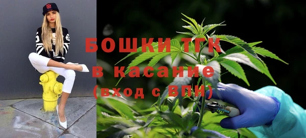 ПСИЛОЦИБИНОВЫЕ ГРИБЫ Арсеньев