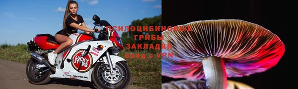 ПСИЛОЦИБИНОВЫЕ ГРИБЫ Арсеньев